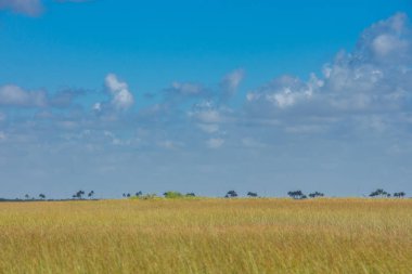 Amerika Birleşik Devletleri 'nde, Florida' daki Everglades parkının hava görüntüsü.