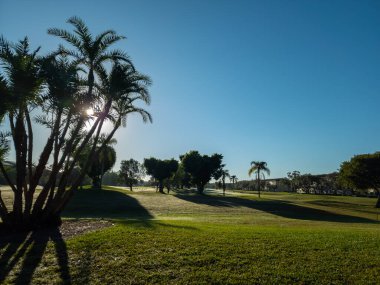 Güney Florida 'da bir Amerikan golf kulübünde güzel bir delik.