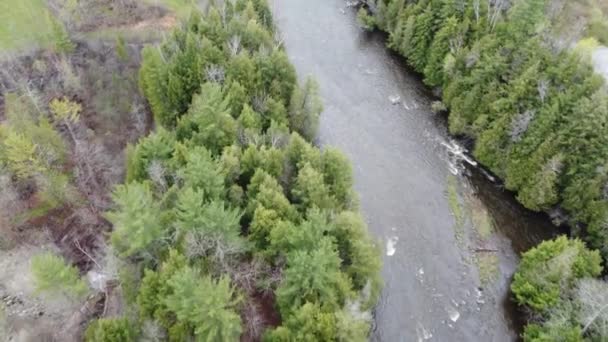 Blick Auf Einen Großen Fluss Der Kanadischen Landschaft Frühling — Stockvideo