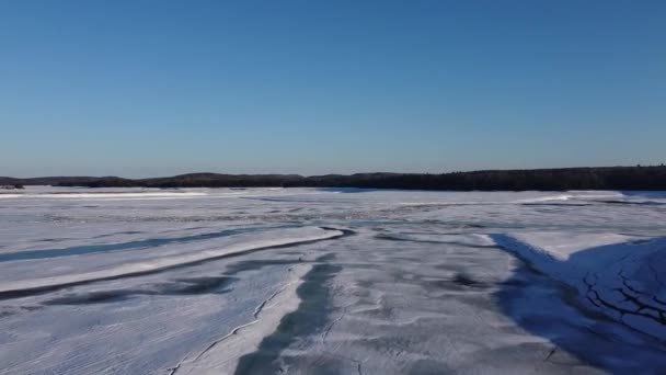 Blick Auf Einen See Kanadischen Wald Quebec Dezember — Stockvideo