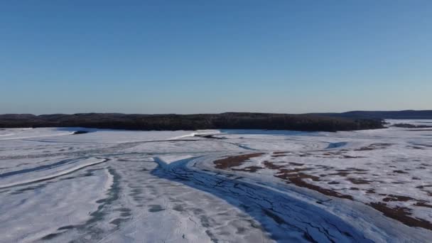 Veduta Lago Nella Foresta Canadese Quebec Nel Mese Dicembre — Video Stock
