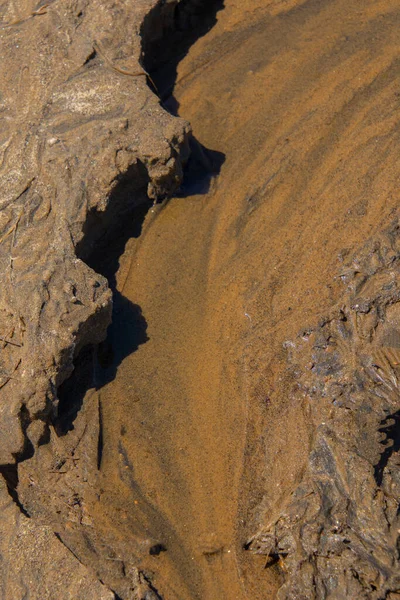 Kanada Ormanlarındaki Bir Gölün Yakınındaki Kaynak Suyundan Gelen Kum Dokusu — Stok fotoğraf