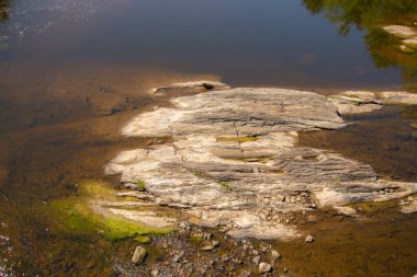 Kanada ormanlarındaki bir nehirde su seviyesinde kaya var.
