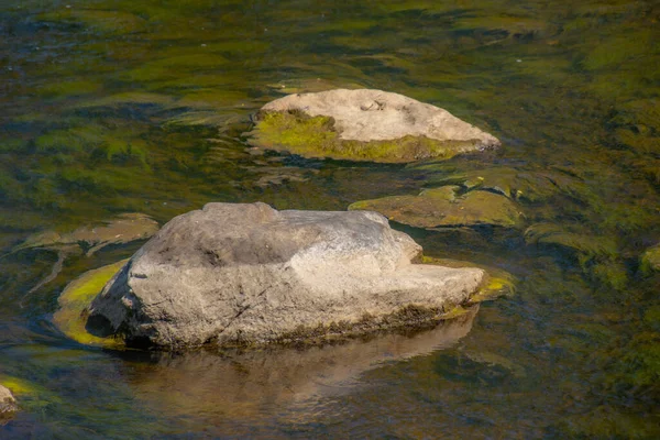 Πέτρα Στη Στάθμη Του Νερού Ένα Ποτάμι Στο Δάσος Του — Φωτογραφία Αρχείου
