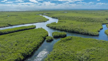 Key Largo adasının güney Florida, ABD 'deki bir kısmının havadan görüntüsü