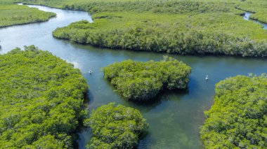 Key Largo adasının güney Florida, ABD 'deki bir kısmının havadan görüntüsü