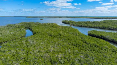 Key Largo adasının güney Florida, ABD 'deki bir kısmının havadan görüntüsü