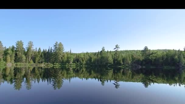 Uitzicht Een Grote Rivier Het Canadese Platteland Het Voorjaar — Stockvideo