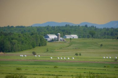 Kırsalda bir çiftlik arazisi manzarası