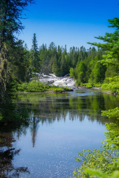 Der Kleine Fluss Wald — Stockfoto