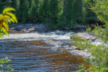 Ormanın içinden akan nehir