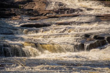 Mastigouche Vahşi Yaşam Rezervinin Gün Saati Çekimi  