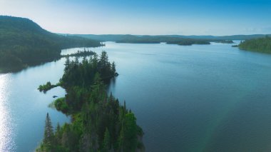 Göl ve ormanlı yaz manzarası