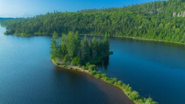 Göl ve ormanlı yaz manzarası