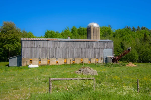 Farm Quebec Canada Countryside Landscape — Stock Photo, Image