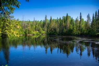 Quebec eyaletindeki güzel Kanada orman nehri
