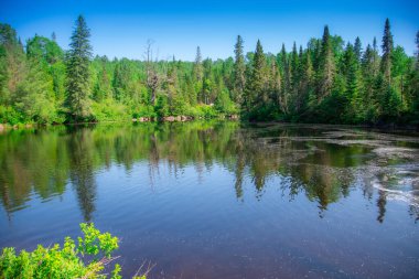 Quebec eyaletindeki güzel Kanada orman nehri