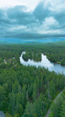 Quebec eyaletindeki güzel bir Kanada orman nehrinin hava manzarası.