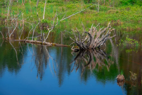 Krásné Divoké Jezero Provincii Quebec Kanada — Stock fotografie