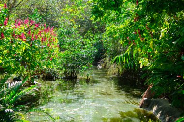 Güneşli yaz gününde parkın güzel manzarası