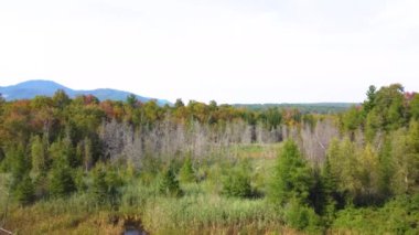 Quebec eyaletinde sonbaharda Kanada kırsalında güzel sonbahar renkleri