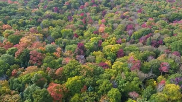 Φθινόπωρο Χρώματα Γύρω Από Jay Peak Τουριστικό Site Στις Ηνωμένες — Αρχείο Βίντεο