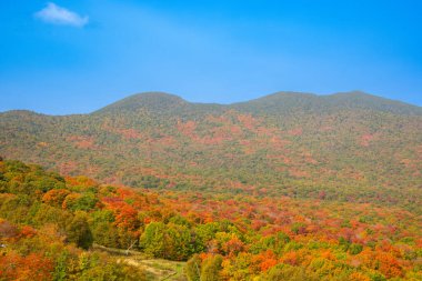 ABD 'deki Jay Peak turizm sahasının renkleri 