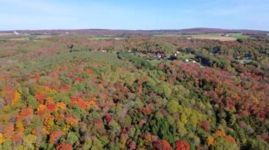 Dağlarda sonbahar ormanı