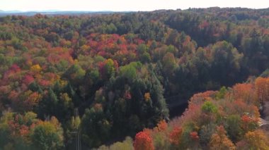 Renkli ağaçlarla dolu güzel sonbahar manzarası