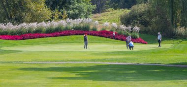 İnsanlar parktaki golf sahasında.