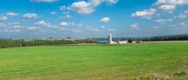 Güneşli bir yaz gününde tarlaların ve çayırların manzarası.