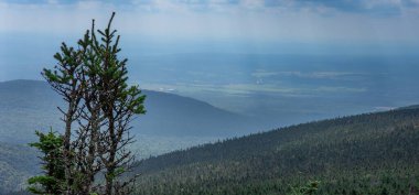 Yazın dağın manzarası