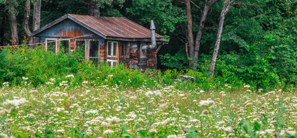 eski ahşap cottage ormanda