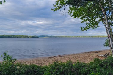 Arka planda orman olan bir göl manzarası