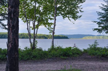 Arka planda orman olan bir göl manzarası