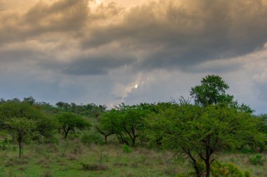 Güney Afrika 'da Burgersfort bölgesinde fırtınalı bir gökyüzü altında Safari