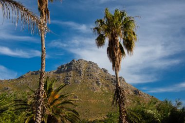 Masa, Cape Town, Kirstenbosch Gardens, Güney Afrika manzarası.