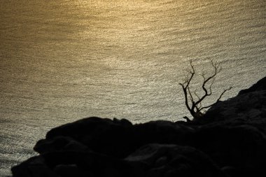 Gün batımında kayalık deniz kıyısının güzel manzarası