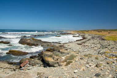 Kayalık deniz kıyısının güzel manzarası