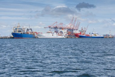 Güney Afrika 'da Cape Town yakınlarındaki Out Bay limanının görüntüsü