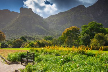 Masa, Cape Town, Kirstenbosch Gardens, Güney Afrika manzarası.