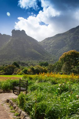 Masa, Cape Town, Kirstenbosch Gardens, Güney Afrika manzarası.