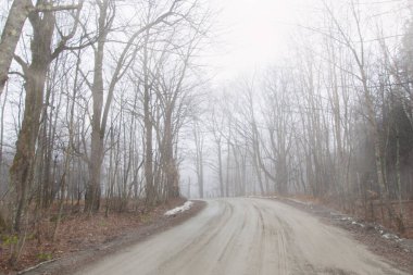 Quebec 'te sisli bir günde Kanada kırsalının manzarası