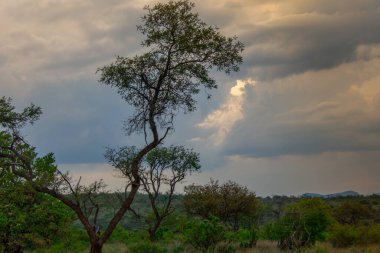Burgersfort, Limpopo ilinin Fetakgomo Tubatse ilçesindeki Bushveld kompleksinin kıyısındaki Spekboom Nehri vadisinde yer almaktadır.