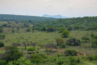 Burgersfort, Limpopo ilinin Fetakgomo Tubatse ilçesindeki Bushveld kompleksinin kıyısındaki Spekboom Nehri vadisinde yer almaktadır.