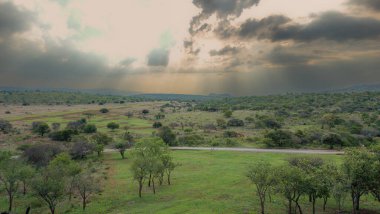 Afrika savanasının manzarası Güney Afrika 'da bir safaride