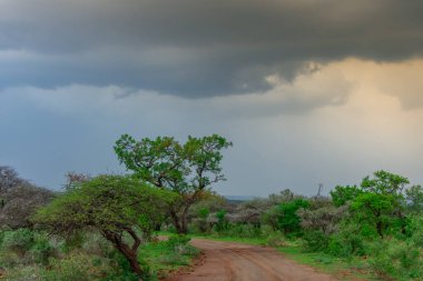 Burgersfort üzerindeki fırtına bulutları Mpumalanga ve Limpopo illerinin sınırına yakın Spekboom Nehri vadisinde yer almaktadır.