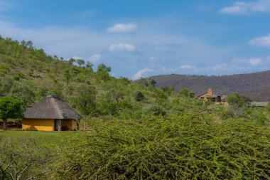 Güney Afrika 'nın ünlü savanasının çok güzel manzarası.