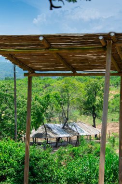Güney Afrika 'nın ünlü savanasının çok güzel manzarası.