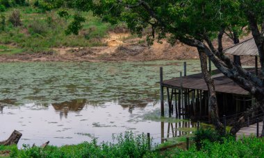 Güney Afrika 'da savanın kalbinde kaybolan küçük sevimli bir göl.